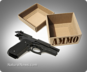 Empty-Handgun-Ammo-Box
