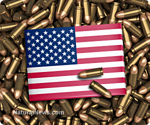 USA-American-Flag-Stockpile-Bullets-Ammo